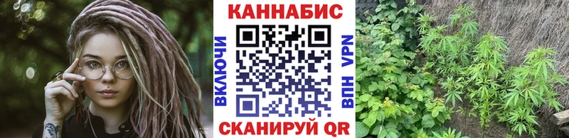 Каннабис семена Струнино